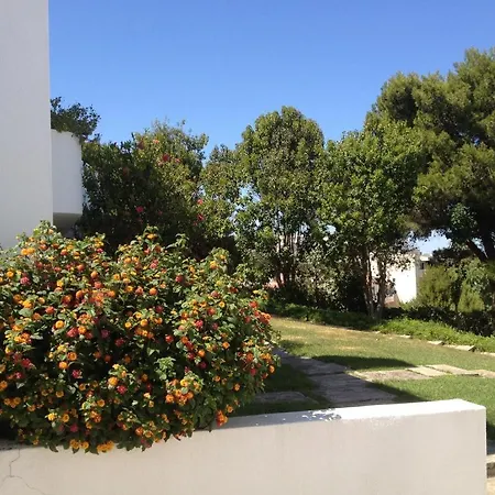 Cheerfulway Alto Do Moinho 3* Albufeira